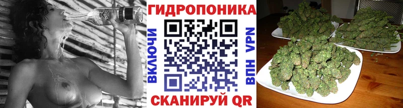 где купить наркоту  Приволжский  Бошки марихуана семена 